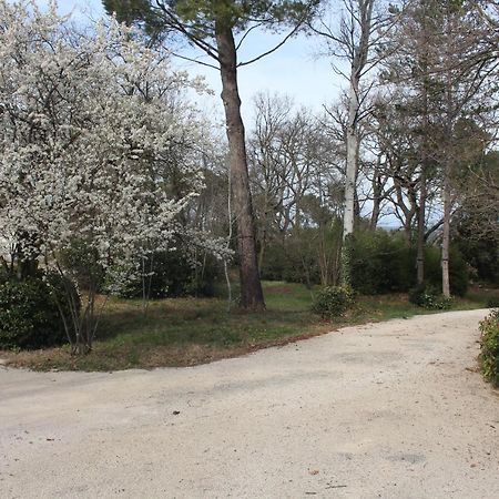 Ermitage Notre Dame De Vacquieres Bed & Breakfast Noves Luaran gambar