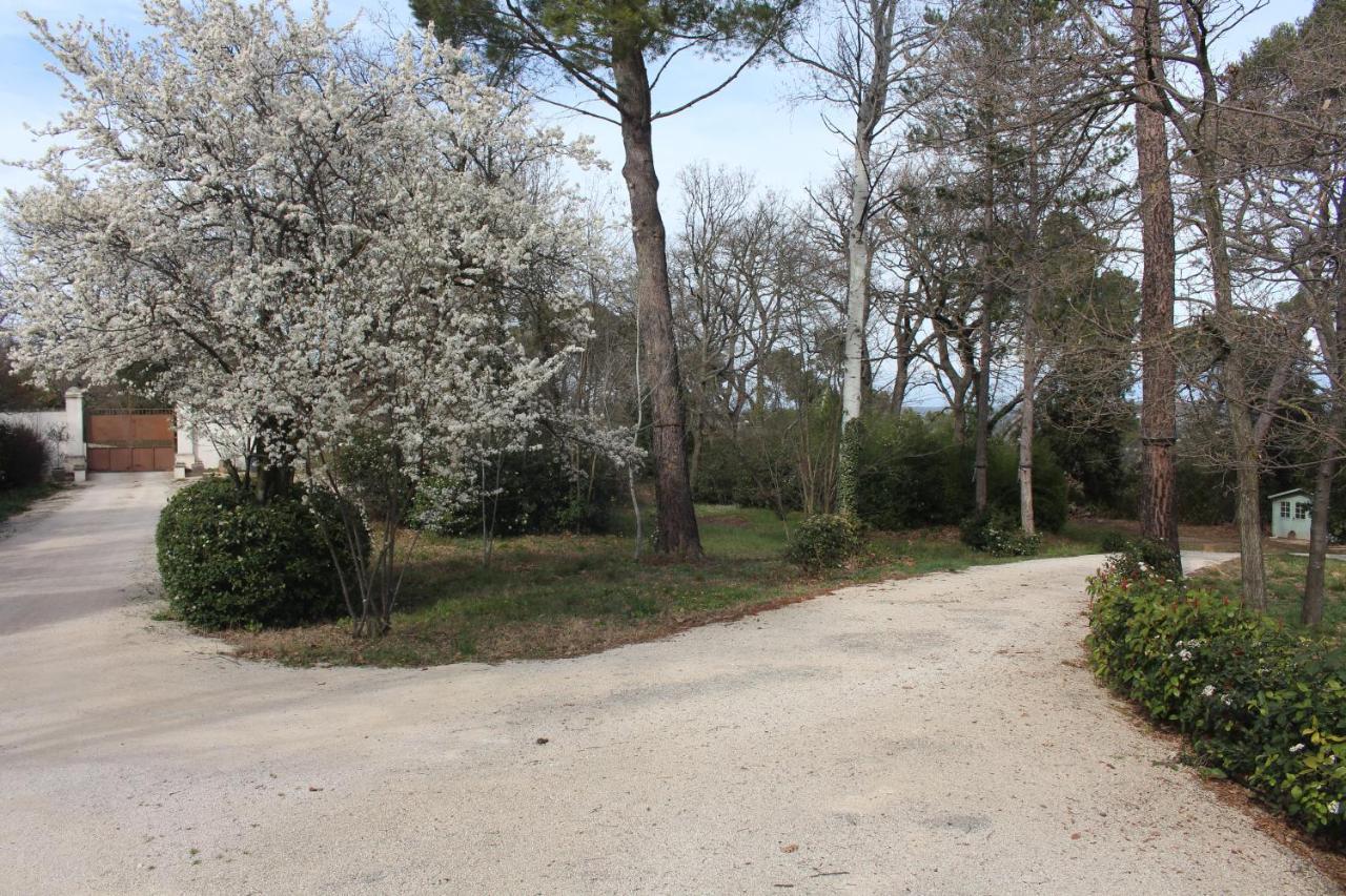 Ermitage Notre Dame De Vacquieres Bed & Breakfast Noves Luaran gambar